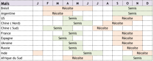 calendrier-cultures-mais